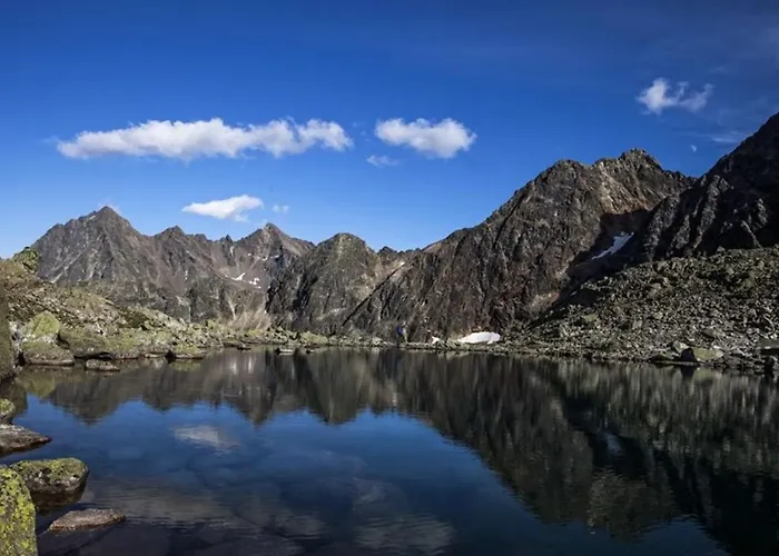 Апартаменты The Alpenhouse Gligic's